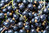 Johannisbeere schwarz Schale 500g
